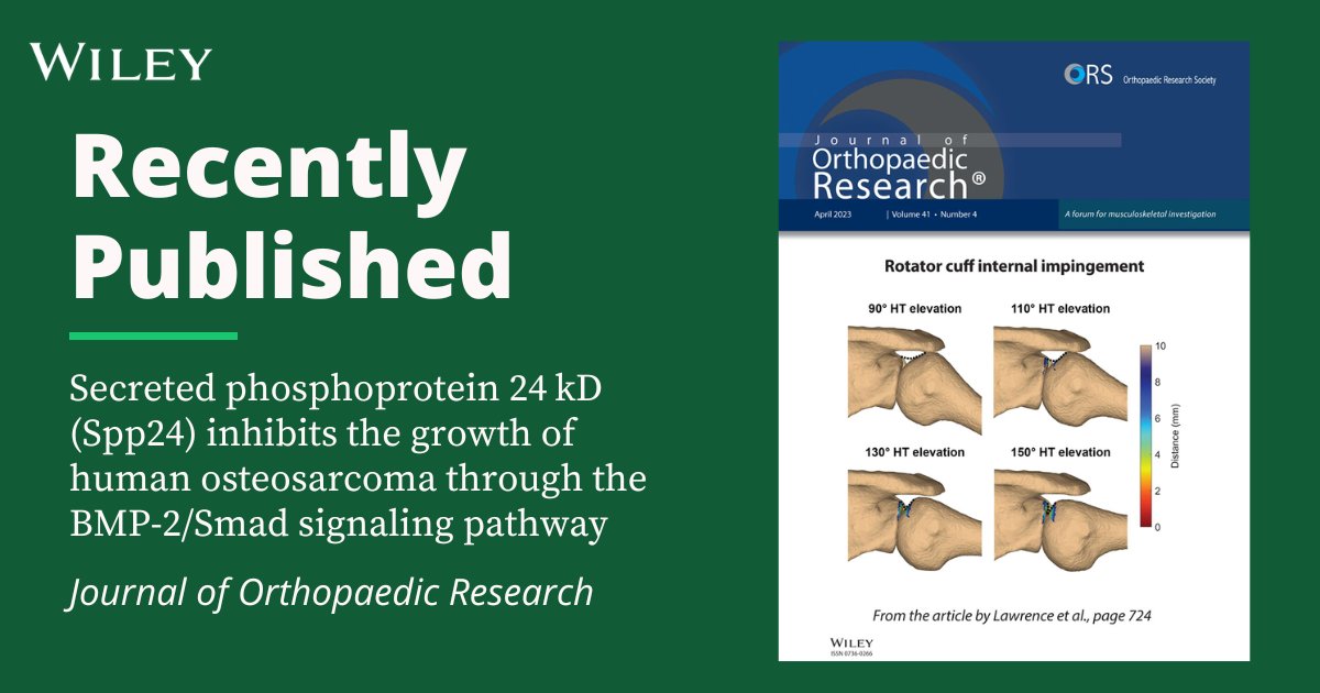 WileyHealth's tweet photo. A #RecentlyPublished study in the Journal of Orthopaedic Research has identified a bone matrix protein called #Spp24 that may help to treat #osteosarcoma, the most common type of #BoneCancer.
Read more ➡️ https://t.co/7Lm6w12Ath https://t.co/EMOtUfiYd1