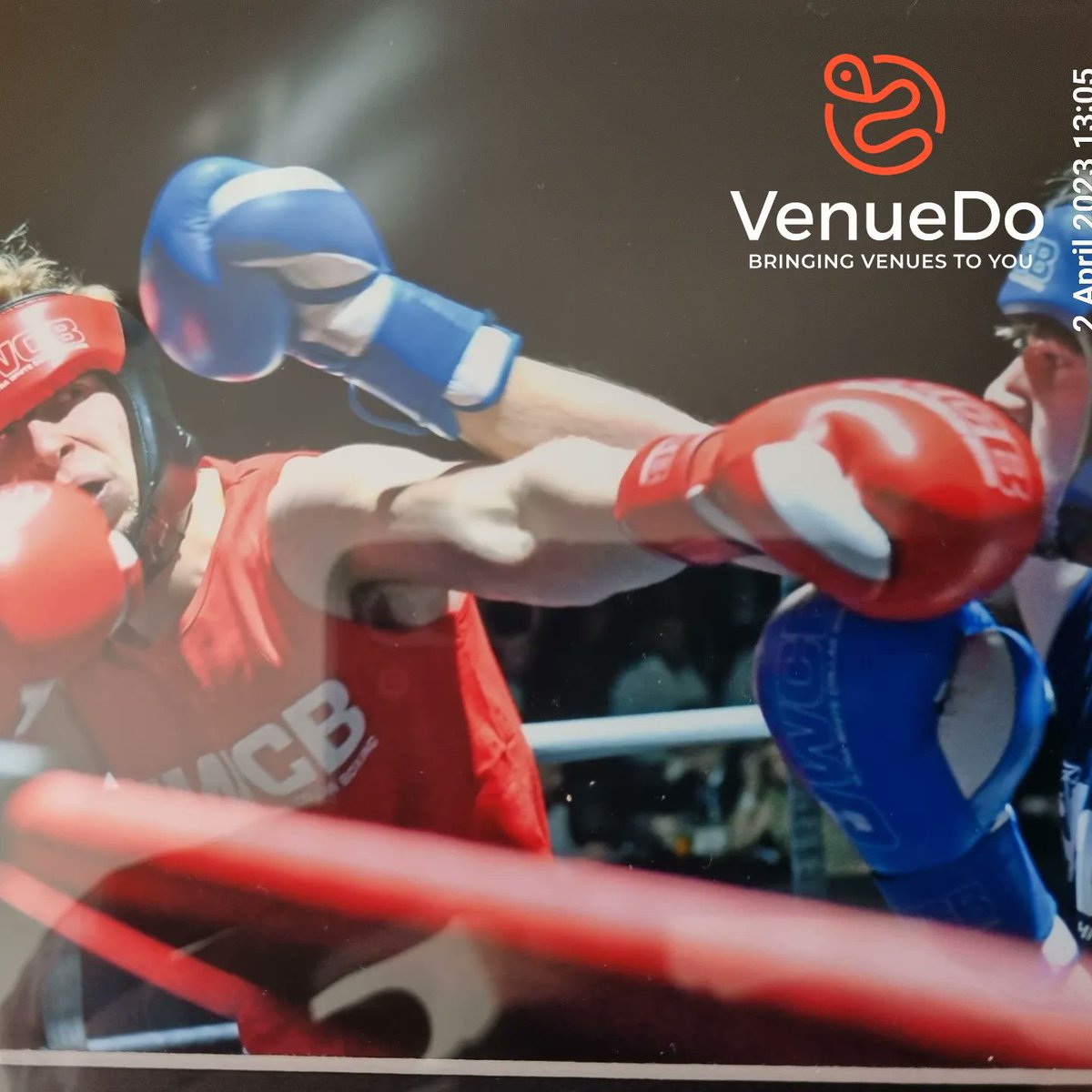 Venue_Do tweet media