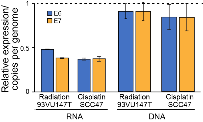 Michael Mints tweet media