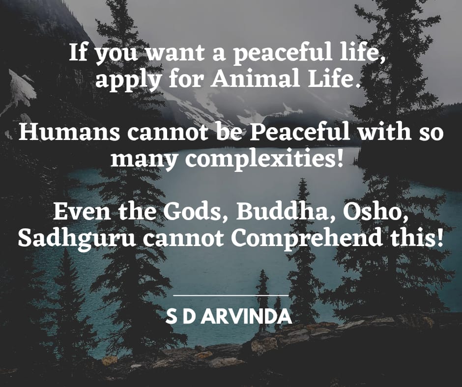 Arvindsringeri's tweet photo. Reality... Don't ask me questions! https://t.co/cgYdzzpG0t
