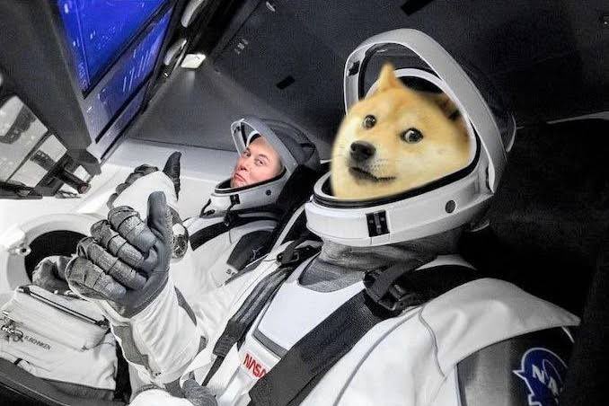 ahmadtariq07's tweet photo. @elonmusk All Set for takeoff https://t.co/fCL27untLx