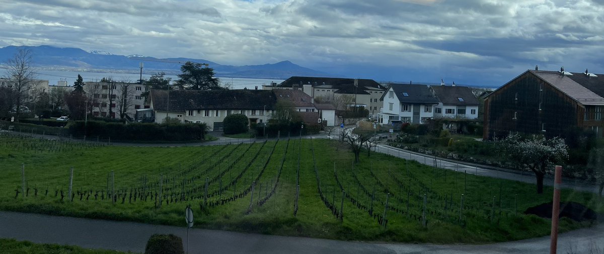 MarianneEjder's tweet image. #MySwitzerland #SeasonOfSpring 🇨🇭