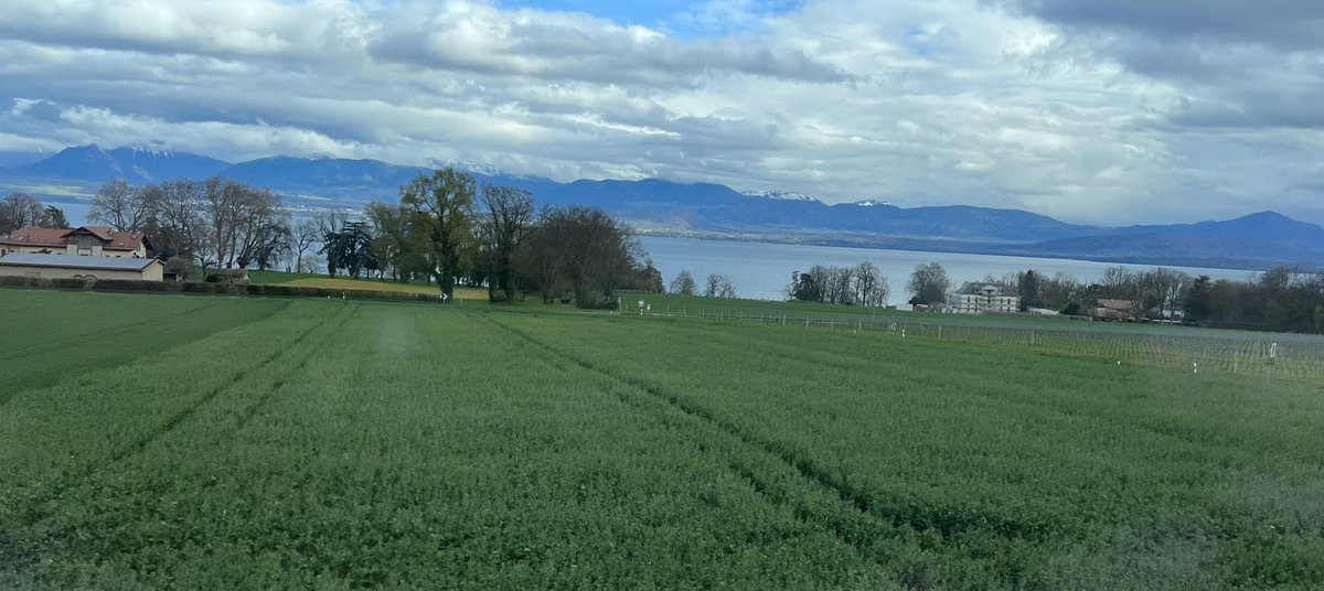 MarianneEjder's tweet image. #MySwitzerland #SeasonOfSpring 🇨🇭