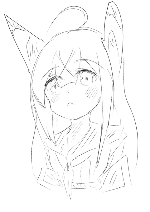 (⌒v⌒)おはようございます 