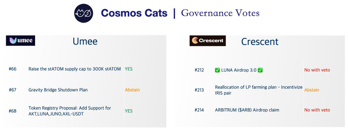 Cosmos Cats tweet media