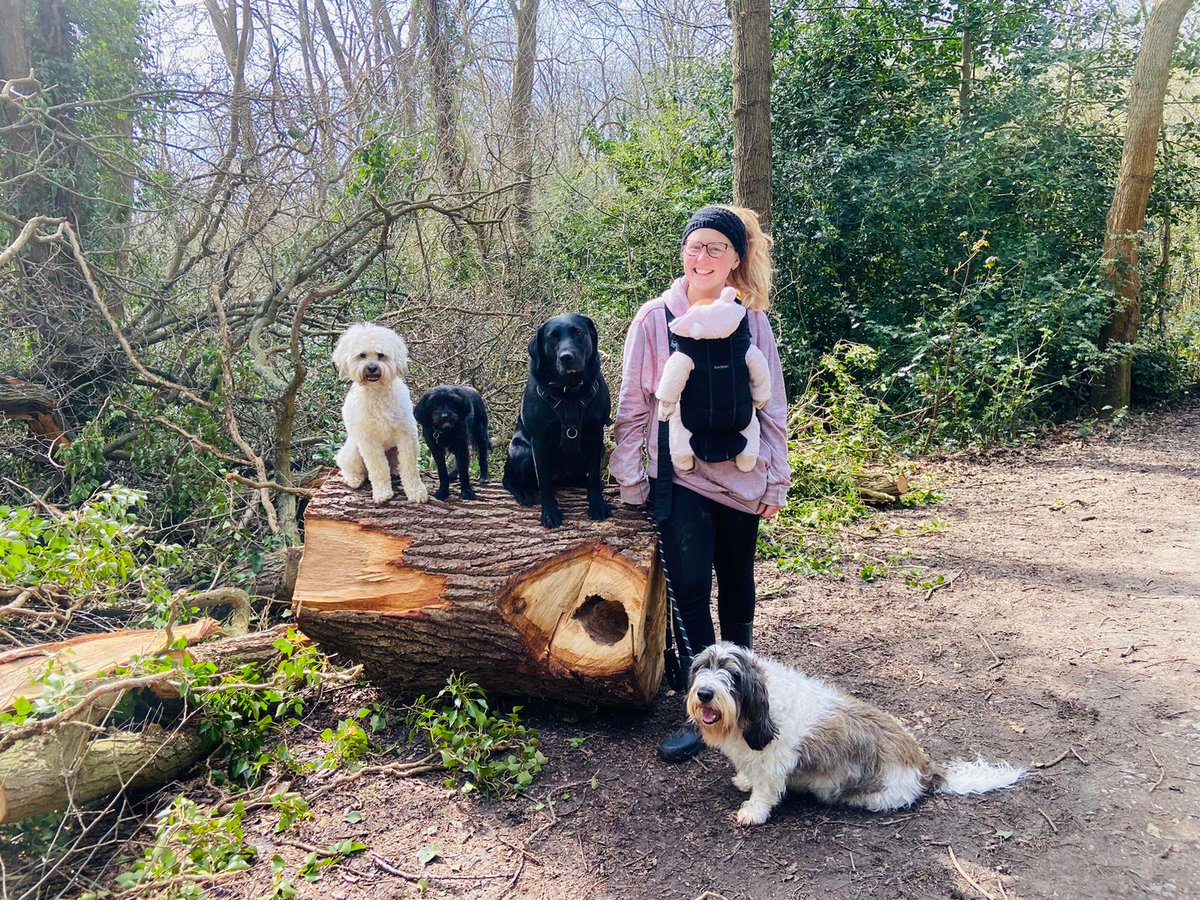 Katie's Paws and Chores tweet media