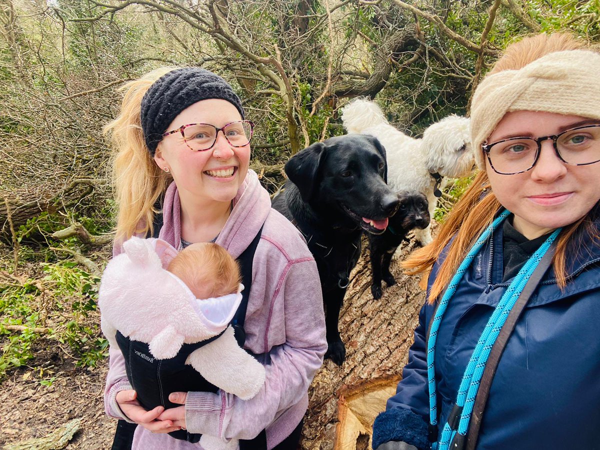 Katie's Paws and Chores tweet media