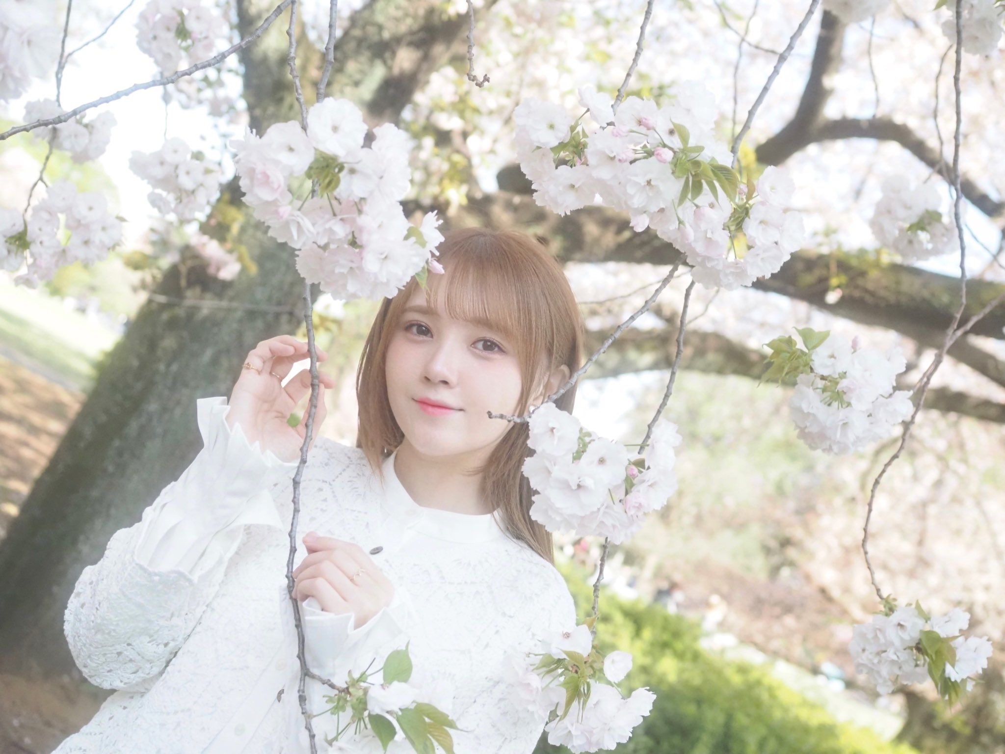 きらり様♡ありがとうございます♡ きらり@さとわんありがとう (@Cat02240513) / X