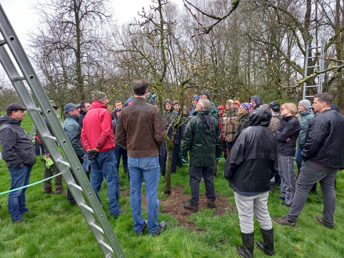 LBFriesland's tweet photo. De bikkels van onze snoeicursus fruitbomen gingen afgelopen zaterdag in regen en wind aan de slag. Zo brachten ze de opgedane kennis van twee avonden in de praktijk. De snert na afloop smaakte heerlijk! https://t.co/DcjeJd1ArE