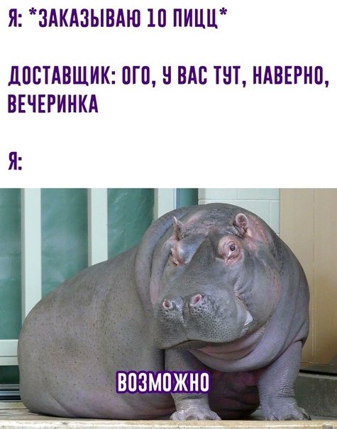 Хочу вечеринку