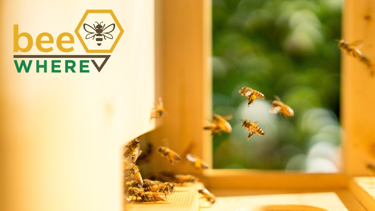BeeWhereCA's tweet photo. April is #BeeWhereMonth! What is #BeeWhereCA? It"s a service that brings beekeepers & pesticide applicators together by tracking & safeguarding hives across CA using innovative mapping tools. #BeeInTheKnow https://t.co/tfSwhsNKFb