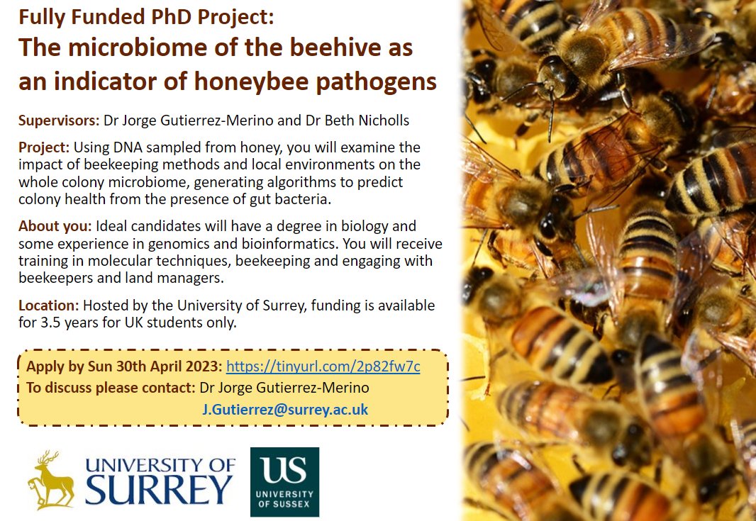 📢Funded PhD Alert📢 🐝We are recruiting a #PhDstudent to work on #bee #microbiomes as a predictor of colony health. 🦠Do contact either myself or @jGUTiLAB to find out more. Apply by 30th April 👇 tinyurl.com/2p82fw7c #Honeybees #Microbiology #Genomics #Bioinformatics #PhD