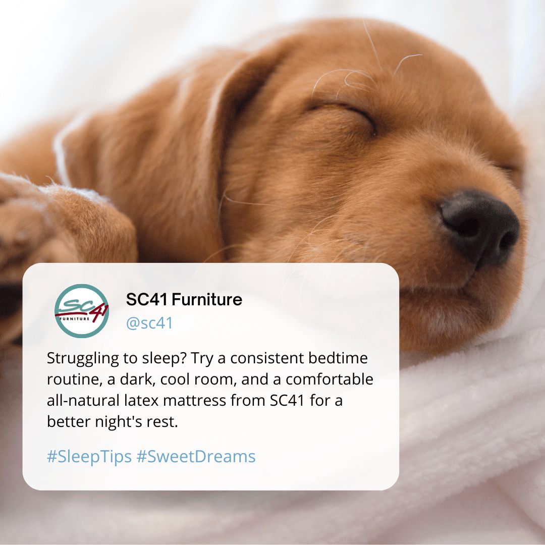 SC41 tweet picture