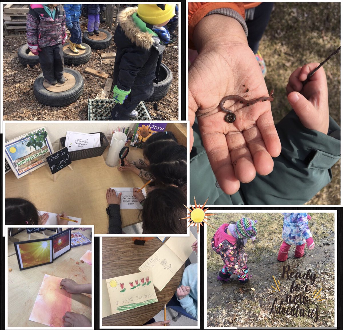 Here’s a snapshot of some of the exploring and learning we have done over the past couple of weeks. Spring has sparked all kinds of fascinating learning opportunities. ☀️🪱🌱