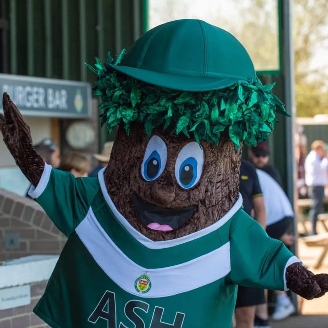 AshTheTreeAUFC tweet media