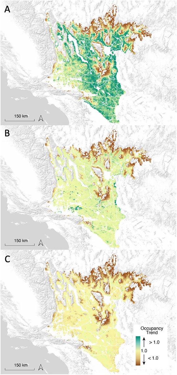 ESAEcosphere's tweet image. How are Mojave #DesertTortoise populations faring across their range? New research finds evidence of concerning declines
doi.org/10.1002/ecs2.4…
#Occupancy #BayesianModeling #OpenAccess @AKissecol @jessjaco @USFWS @BLMca