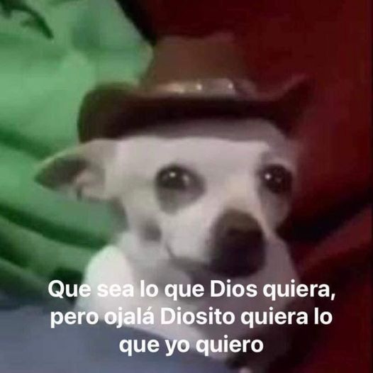 Bandiee's tweet photo. Manifiesto https://t.co/uR3c26VQQ3