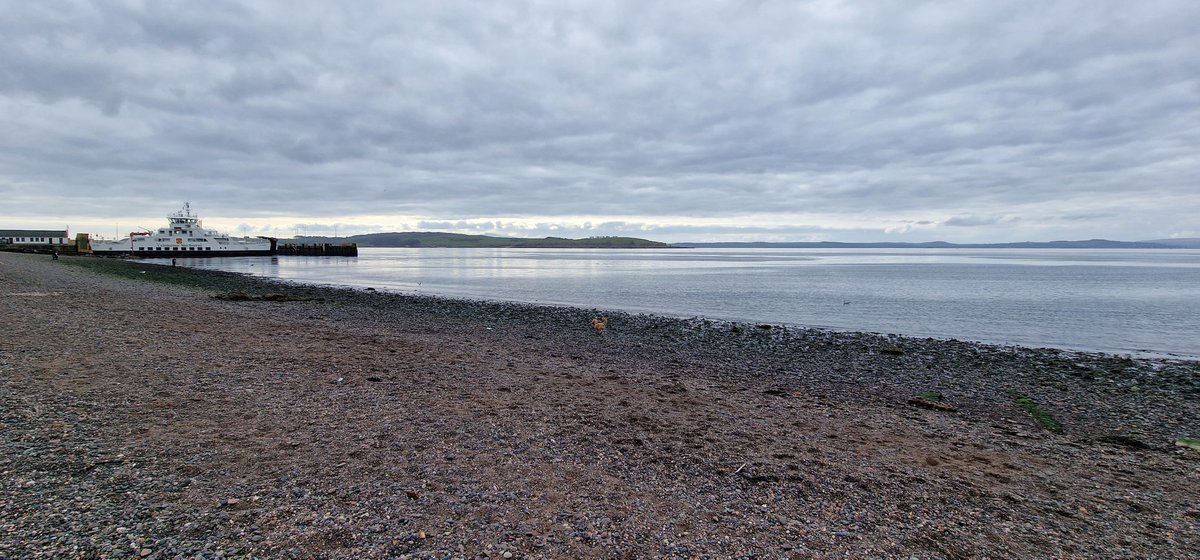 Ezza_kell's tweet photo. Really just want to go back to yesterday 🥲 Largs was so beautiful 🥰 https://t.co/bKGRn3Et1Y