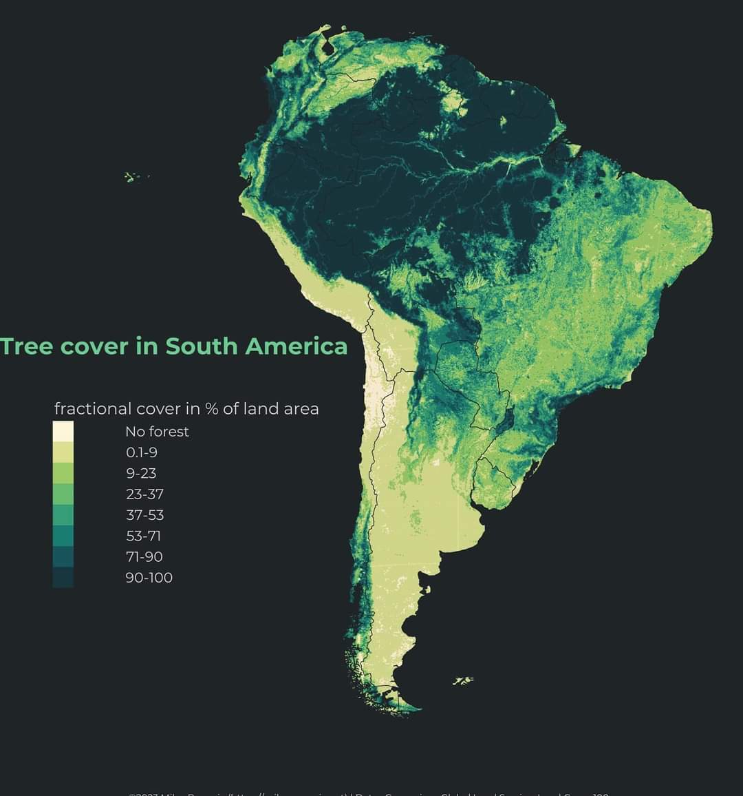 InformaCosmos's tweet photo. Mapa de la cobertura de árboles en Sudamérica. 

La Amazonía representa la mayor parte de la cobertura arbórea.

📷: Milos Popovik https://t.co/oqe6Ya40os