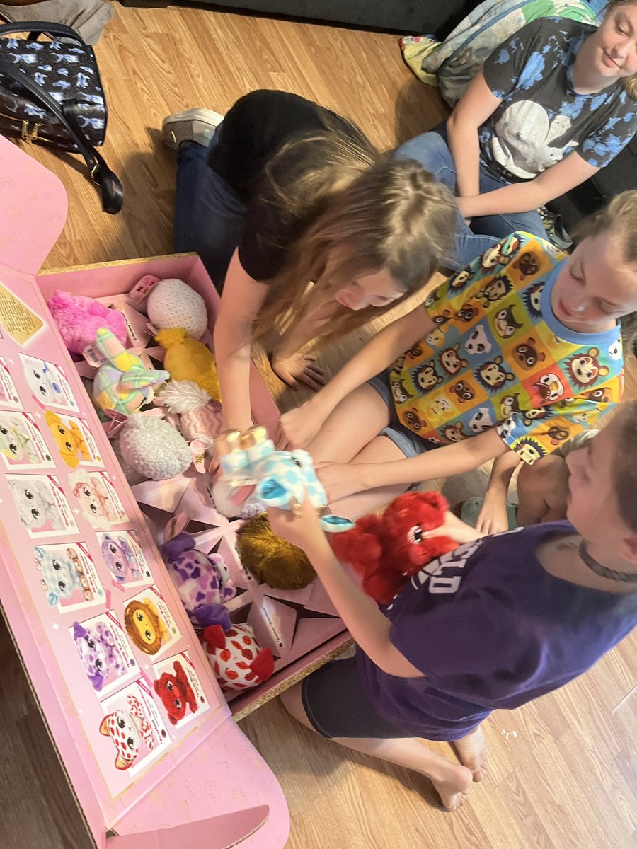 beason041319's tweet photo. We had our P.Lushes Pets Gem Stars party! The girls absolutely loved them! We had a great time learning about each animal and what birthstone they represented. My personal favorite was Maddie Karrats! #tryazon #thatplushlife #plushespets #fashion #ootd #spinmaster https://t.co/qtzMpLVmgU