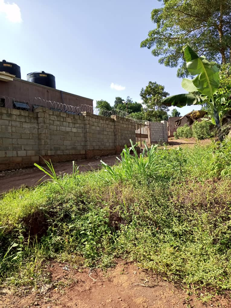 shukranproperty's tweet photo. ๐ฅQUICK SALE ๐ฅ
๐LAND FOR SALE IN BUDDO ,KISOZI.
๐ #45Decimals with ready private Mailo land title.
๐Located in #Buddo Kisozi near Bayan Learning Center.
๐Priced at #100m Ugx..for inspection call 0706592177 https://t.co/02LUGNQ23I