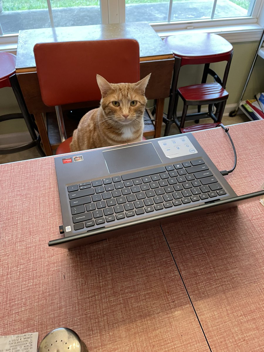 GSmithauthor's tweet photo. #writercat says you have to put in the time at the keyboard to write the great stories. #amwriting #sff #sciencefiction #catswithjobs #workingforkibble https://t.co/t5bESI1Ibk