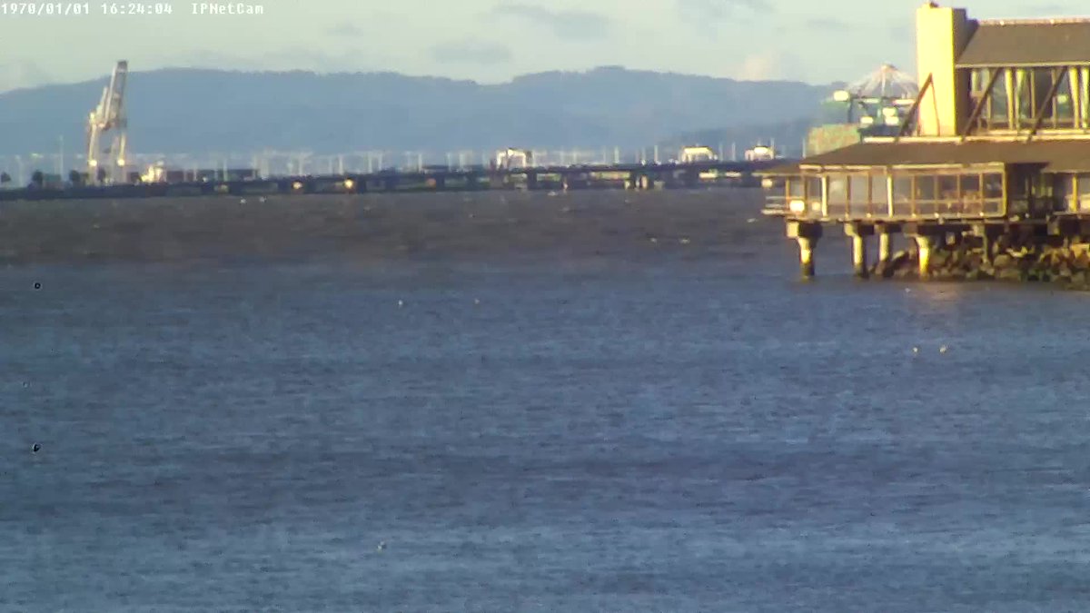 #windywindy... > 15kt <a href="/calsailing/">Cal Sailing Club ⛵️</a>! more at whatskraken.cal-sailing.org/wind