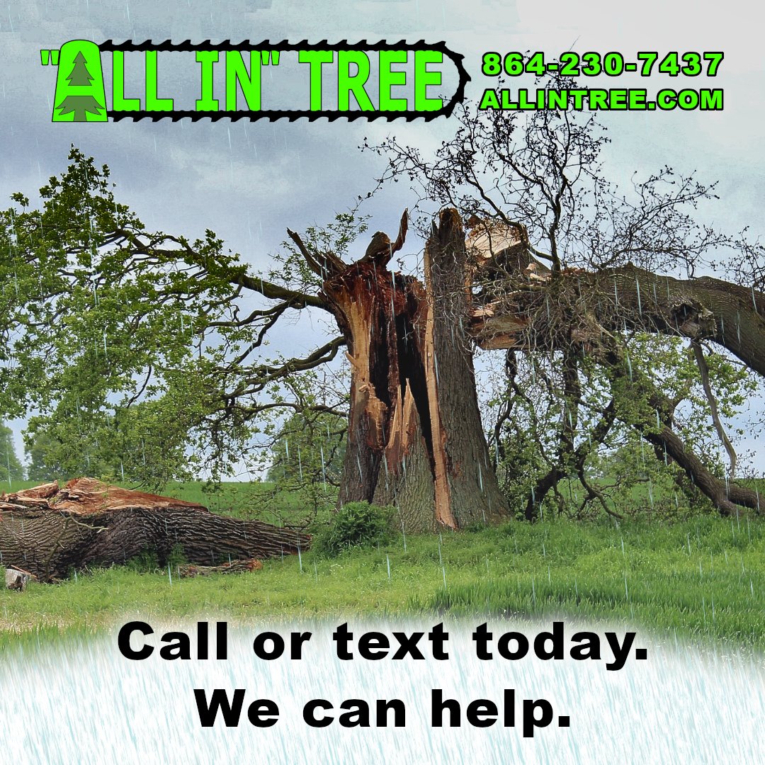 ALLINTREE's tweet photo. If your trees are damaged and broken give us a call or text.  #stormdamage #brokentree #treeservice https://t.co/FqaaqtSmfE
