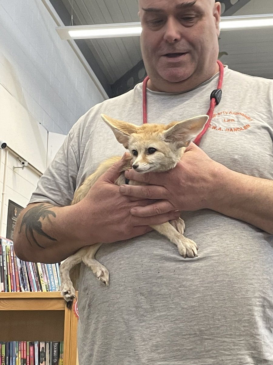 stacyj2008's tweet photo. I’ve got some brave boys! Been to library to see some animals. 🐍🦊🦂🕷️ https://t.co/RqK8m8xl2H