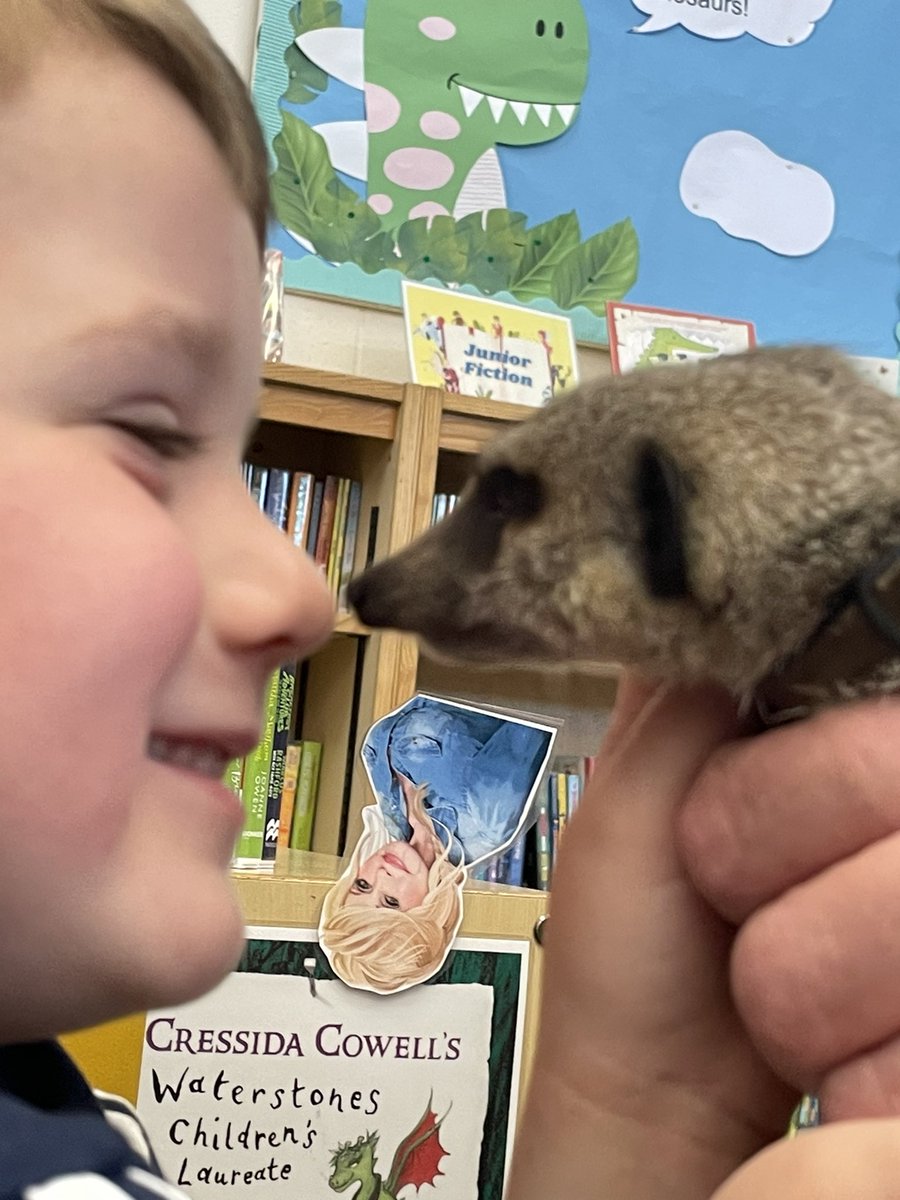 stacyj2008's tweet photo. I’ve got some brave boys! Been to library to see some animals. 🐍🦊🦂🕷️ https://t.co/RqK8m8xl2H