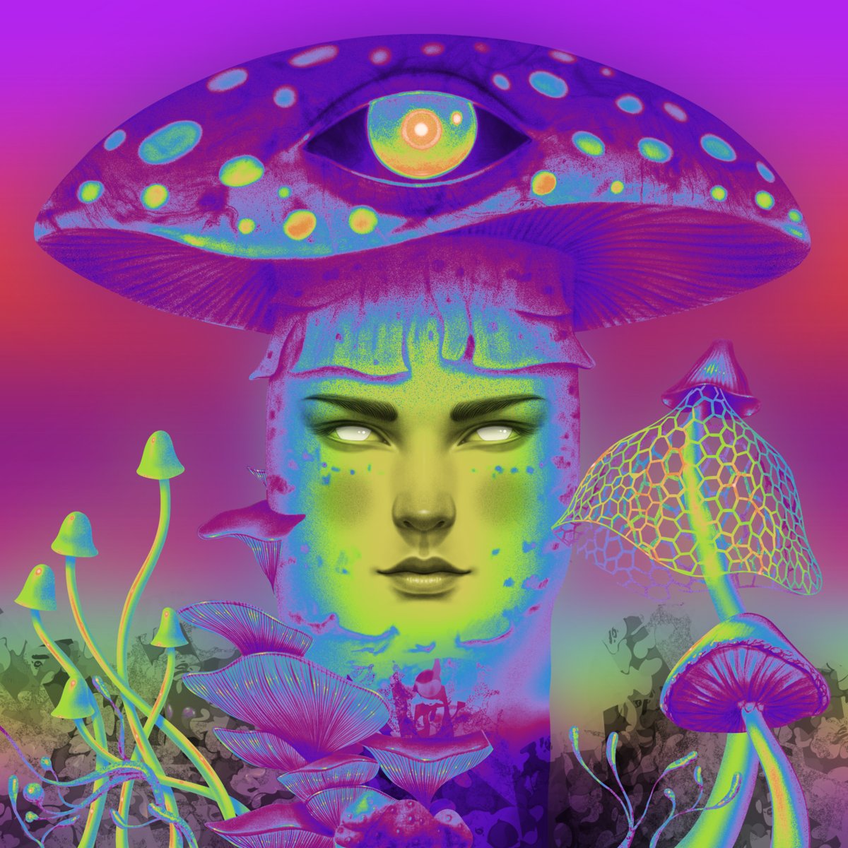 Amparuche 🤖 tweet media