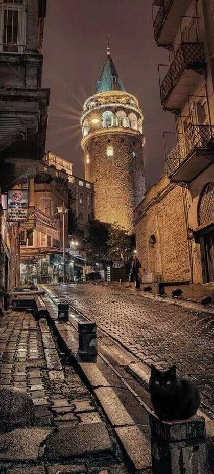 dolunay_30's tweet photo. #tevazû kul olduğunu bilip
#rabbinin mülkünde #edeple
yaşamaktır.
#iftaradogru
#hayırlıebereketliiftarlar
#hayırlıhaftalar
#iyiakşamlar https://t.co/dmys5hW8dE