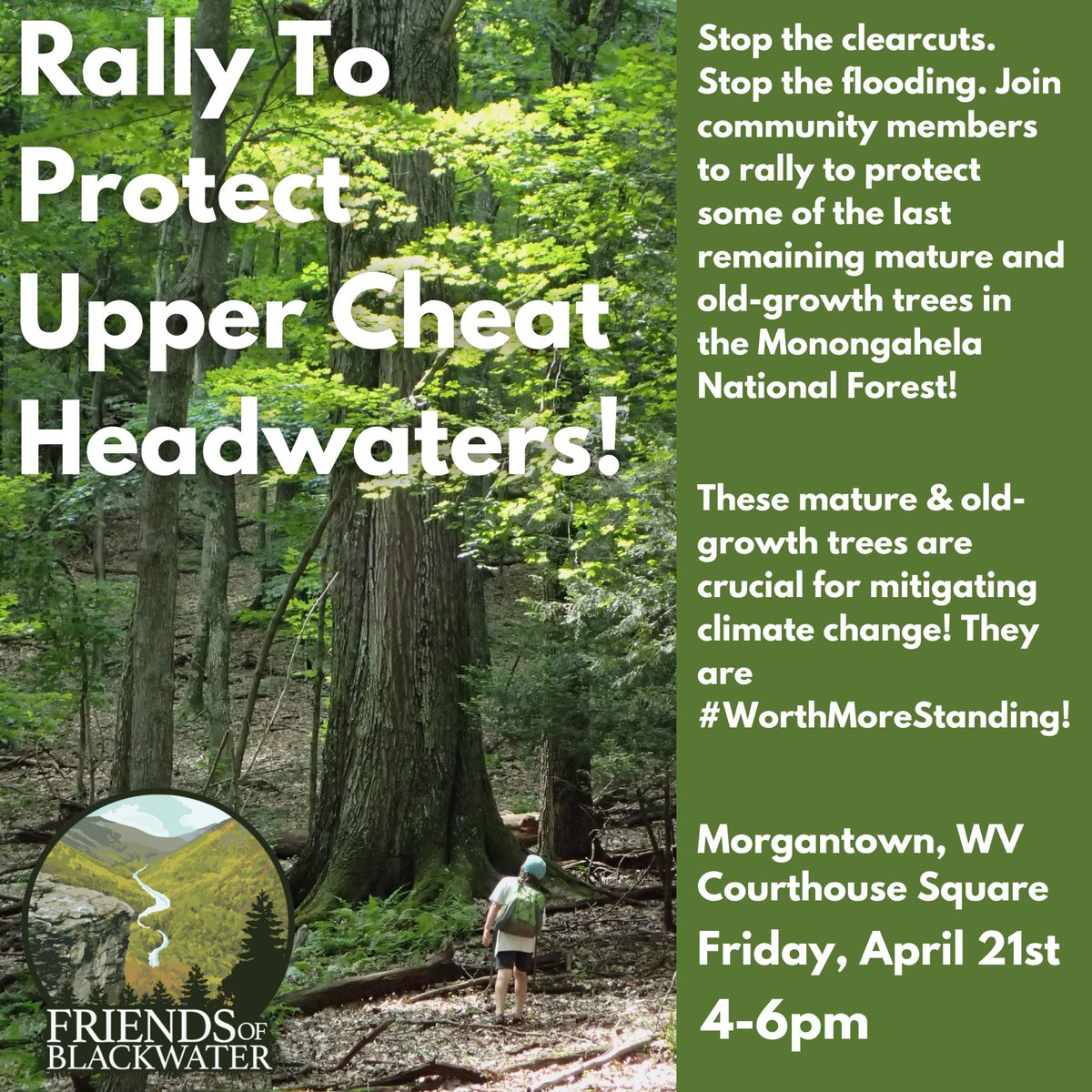Stop the clearcuts. Stop the flooding. Come out on the 21st to protect the Upper Cheat Headwaters! These #ClimateForests are #WorthMoreStanding !