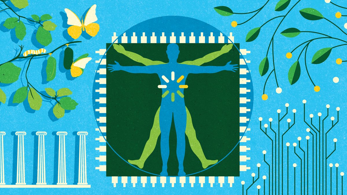 York University News tweet media