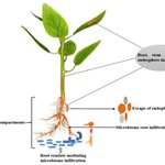 Image for the Tweet beginning: 👑Horticulturae - 2022 High Cited