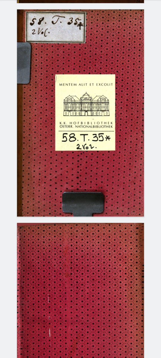 Michelle tweet media