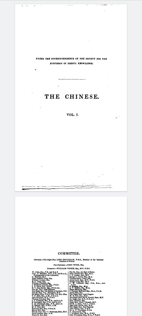 Michelle tweet media