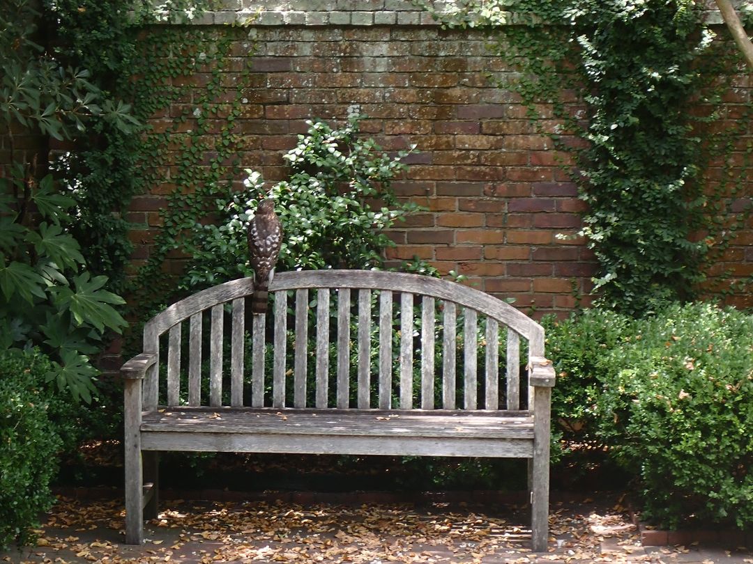 It's spring at Davenport House Museum and we've so much to share! chrome-extension://efaidnbmnnnibpcajpcglclefindmkaj/static1.squarespace.com/static/6176a34…

#savannah #museum #tours #spring