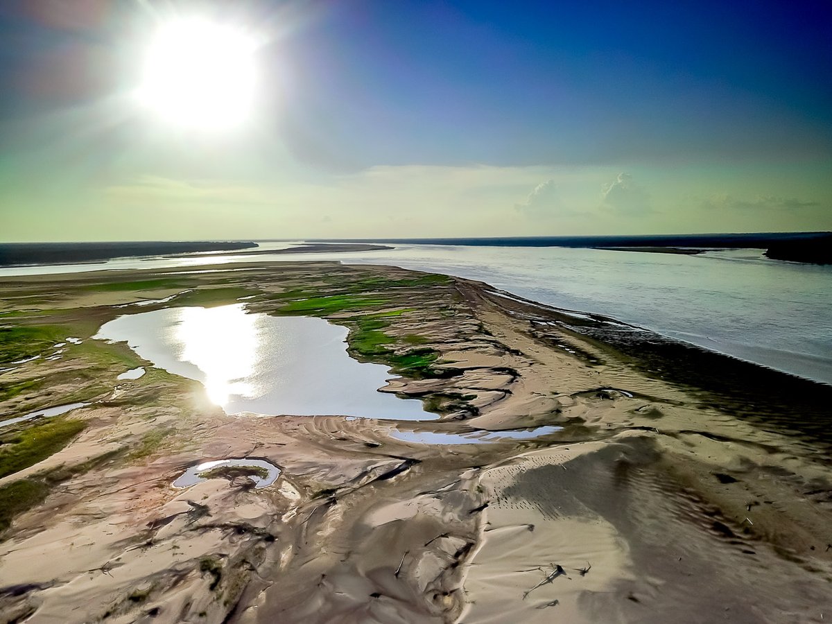 OtorongoLodge's tweet image. Little #lakes are formed in the #sandbars of the Amazon River
