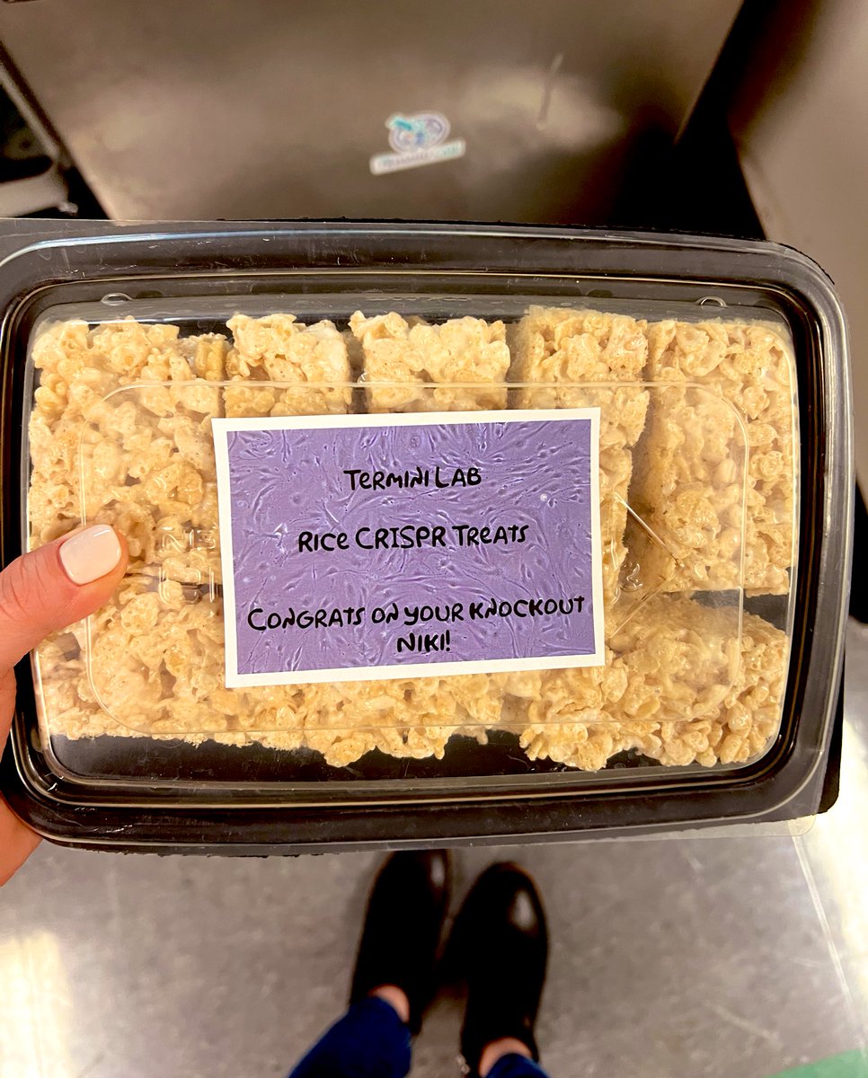 Starting off the week right with a sweet treat for the lab. I made “Rice CRISPR Treats” to commemorate our first knockout in the lab. Gotta celebrate all the wins! 

Recipe here: smittenkitchen.com/2009/11/salted…