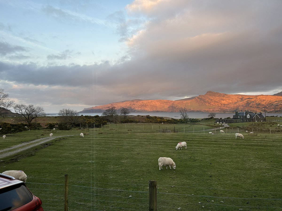 mudnedd's tweet photo. Waking up to this view for the next week ❤️🏴󠁧󠁢󠁳󠁣󠁴󠁿#isleofmull #lochbuie #laggan https://t.co/4pnd24Abgx