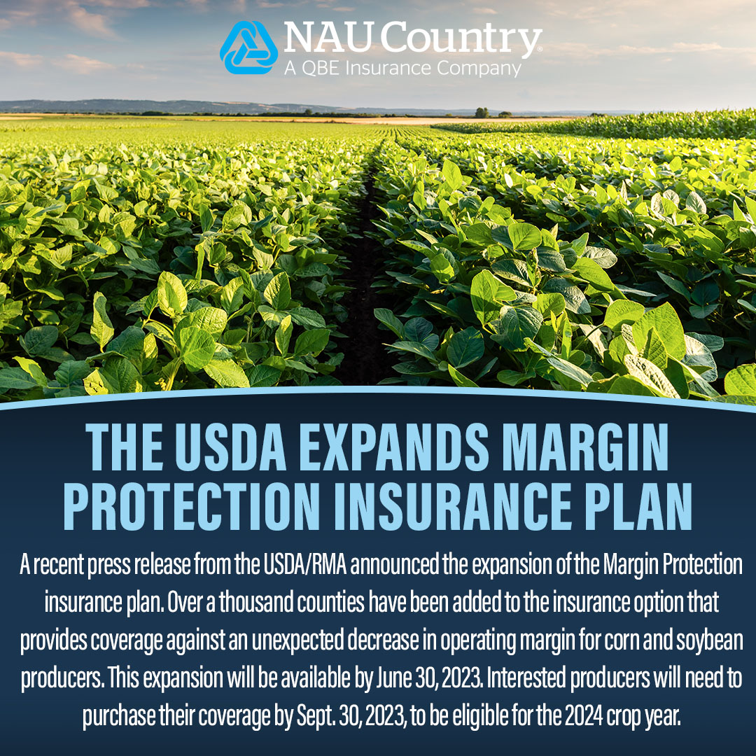 naucountry's tweet photo. The USDA is expanding the Margin Protection insurance plan for corn and soybean producers. Learn more here: https://t.co/rihNwBbBLH. #NAUCountry #RMA #USDA #MarginProtection #CropInsurance #Corn #Soybeans #Farming #Agriculture #Farmers #QBENorthAmerica #Crops #Insurance https://t.co/PqsNQwITmV