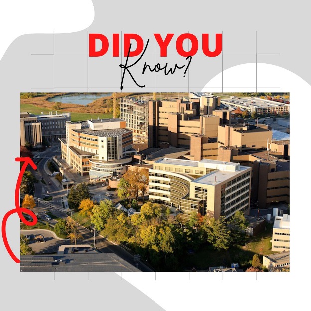 The EdS program is home to one of the premier training programs in ASD. CASTLE training grant students receive leadership training through the Wisconsin Leadership Education in Neurodevelopmental and Related Disabilities (LEND) program administered through the Waisman Center.