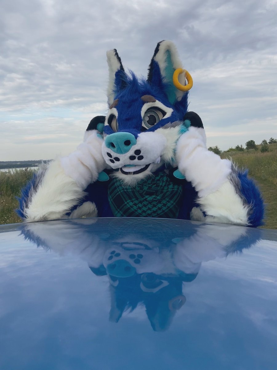Good weather at last! How about you?
#furry #fursuit #fursuiteveryday