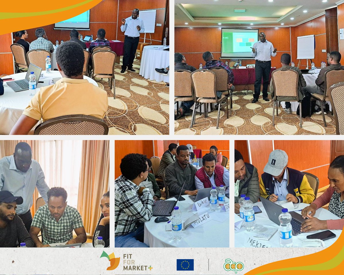 colead_link's tweet photo. 📢 A workshop by @colead_link on Rapid Assessment Tool (R-SAT) started in Addis Ababa, Ethiopia 🇪🇹🌍. The #RSAT tool helps authorities & private sector assess the status of SPS systems🌱
#FFM+ is funded by @PressACP and the #EU. 🍅🍓🥬 #GrowingPeople💪🤝 #agriculture #foodsecurity #SPSsystems #privatesector #partnerships #Ethiopia #developmentcooperation #Sustainability