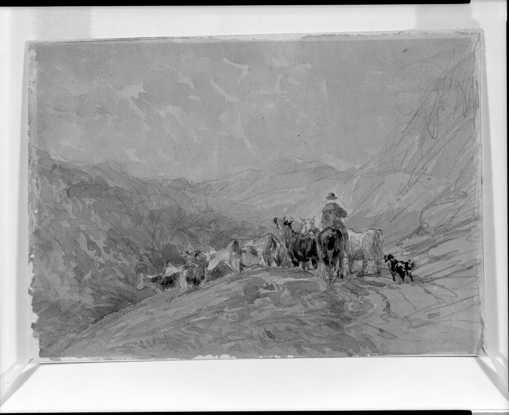 David Cox, Herding Cattle in the Mountains, 19th century #davidcox harvardartmuseums.org/collections/ob…