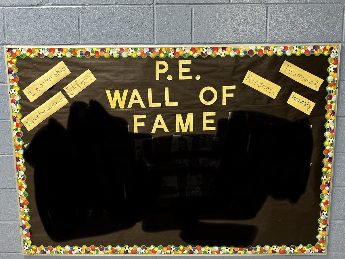 Daniel Bayer tweet media