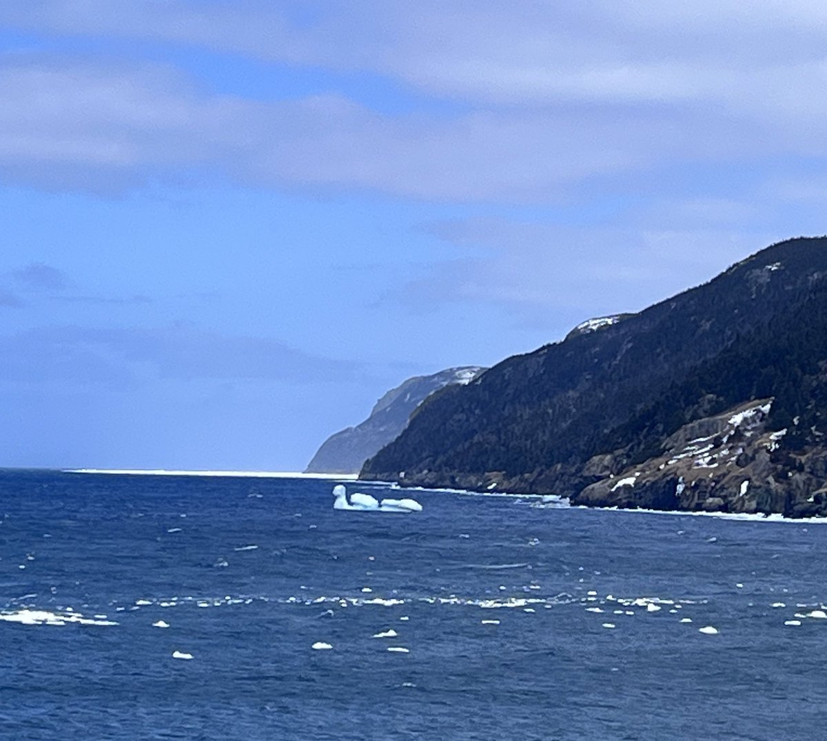 Vicky Mullaley tweet media