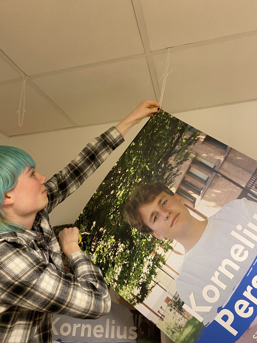 Fallen soldier🤧<a href="/brassmannen/">Kornelius Persson</a>