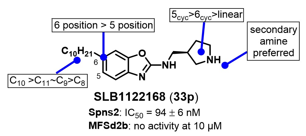 santoslabVT's tweet photo. Congrats to @santoslabVT @arielburgioo for the most potent #S1P transporter (#Spns2) inhibitor.  Check out its development and activity in mice and rats in JMedChem @ACSBioMed. Collaboration with Kevin Lynch @uvapharmacology. @VTChemDept
@VT_Science https://t.co/qJ4iEQ6gAO https://t.co/6Xf6bgfdKv